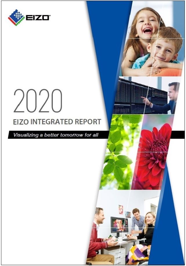 integrated report 2020